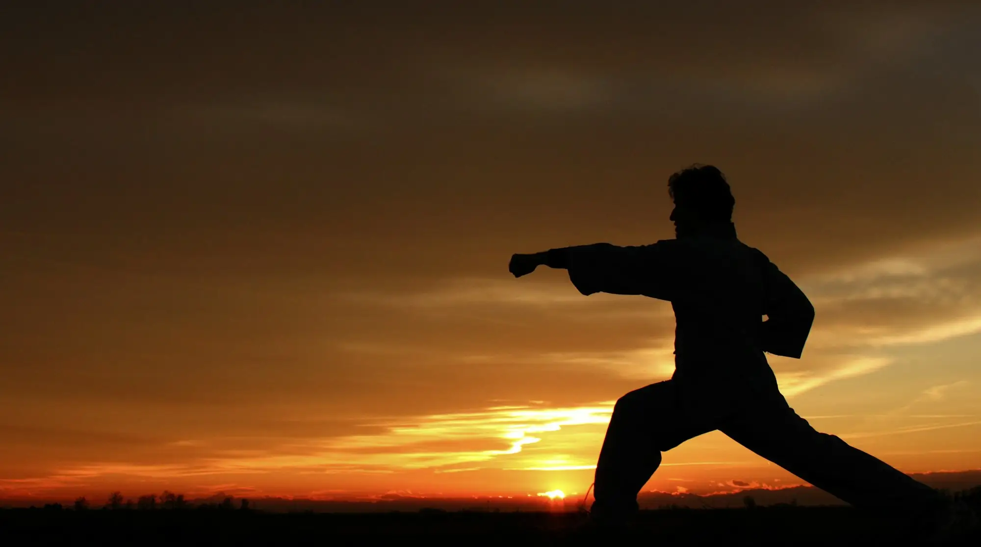 Silhouet van een vechtsporter