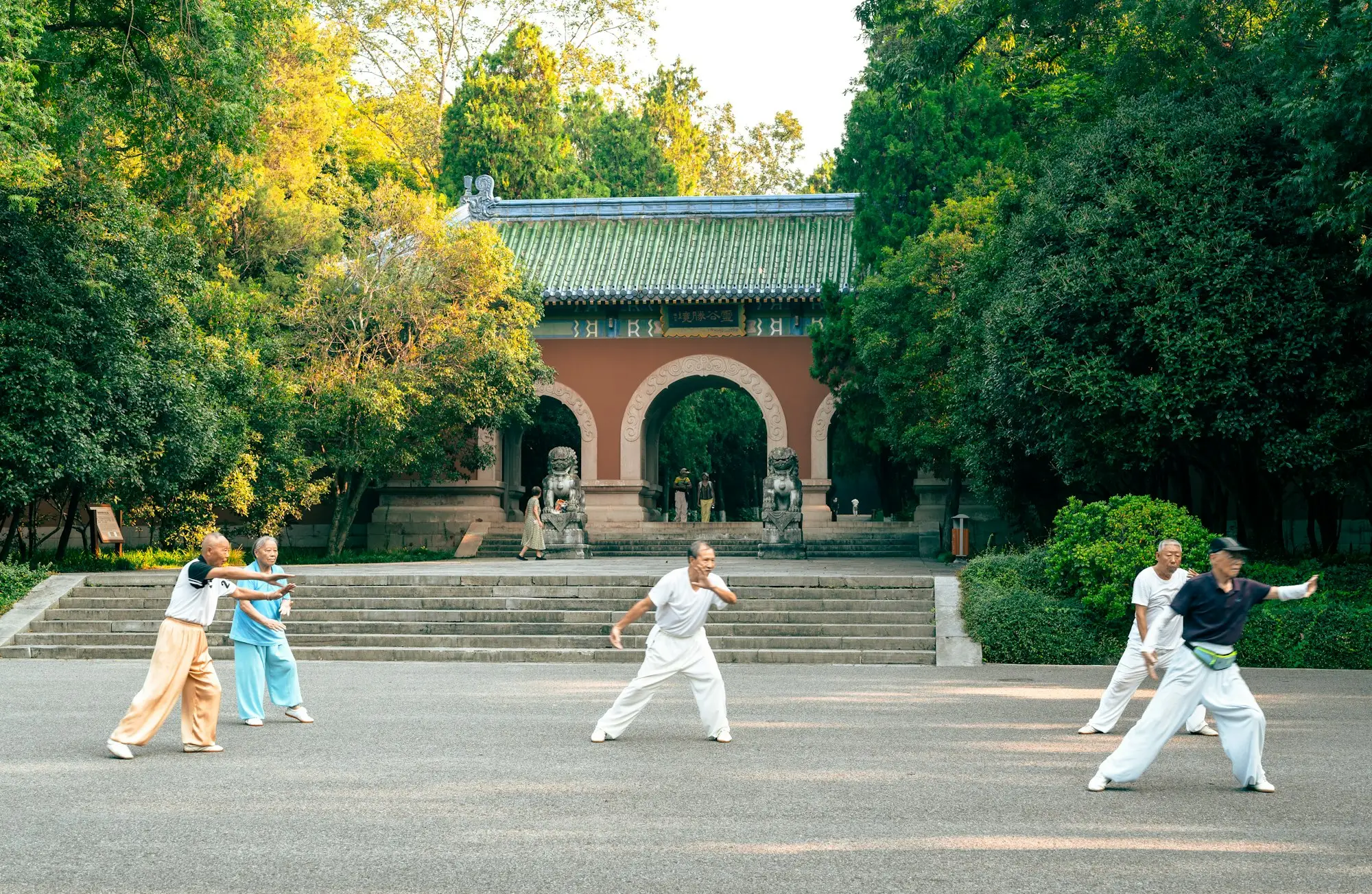 Groep mensen beoefent Tai Chi in een park